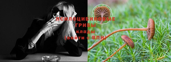 гидропоника Абинск