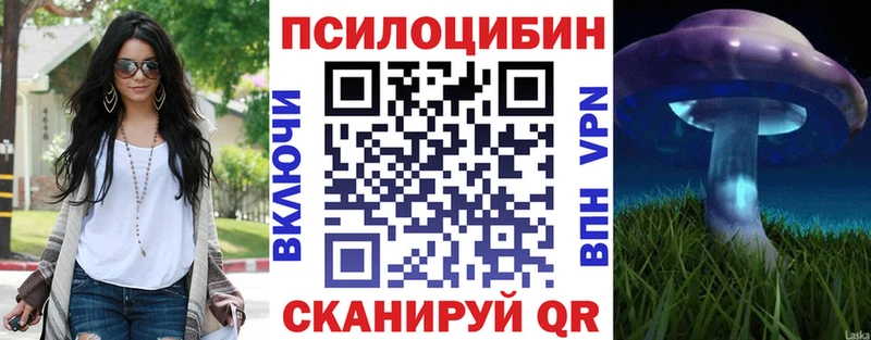 где можно купить   Краснодар  omg ТОР  Псилоцибиновые грибы прущие грибы 