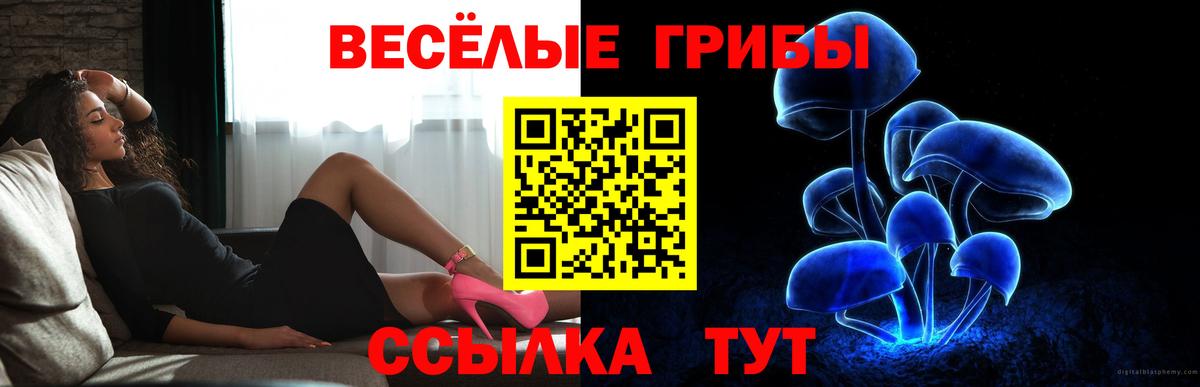 Псилоцибиновые грибы прущие грибы Краснодар
